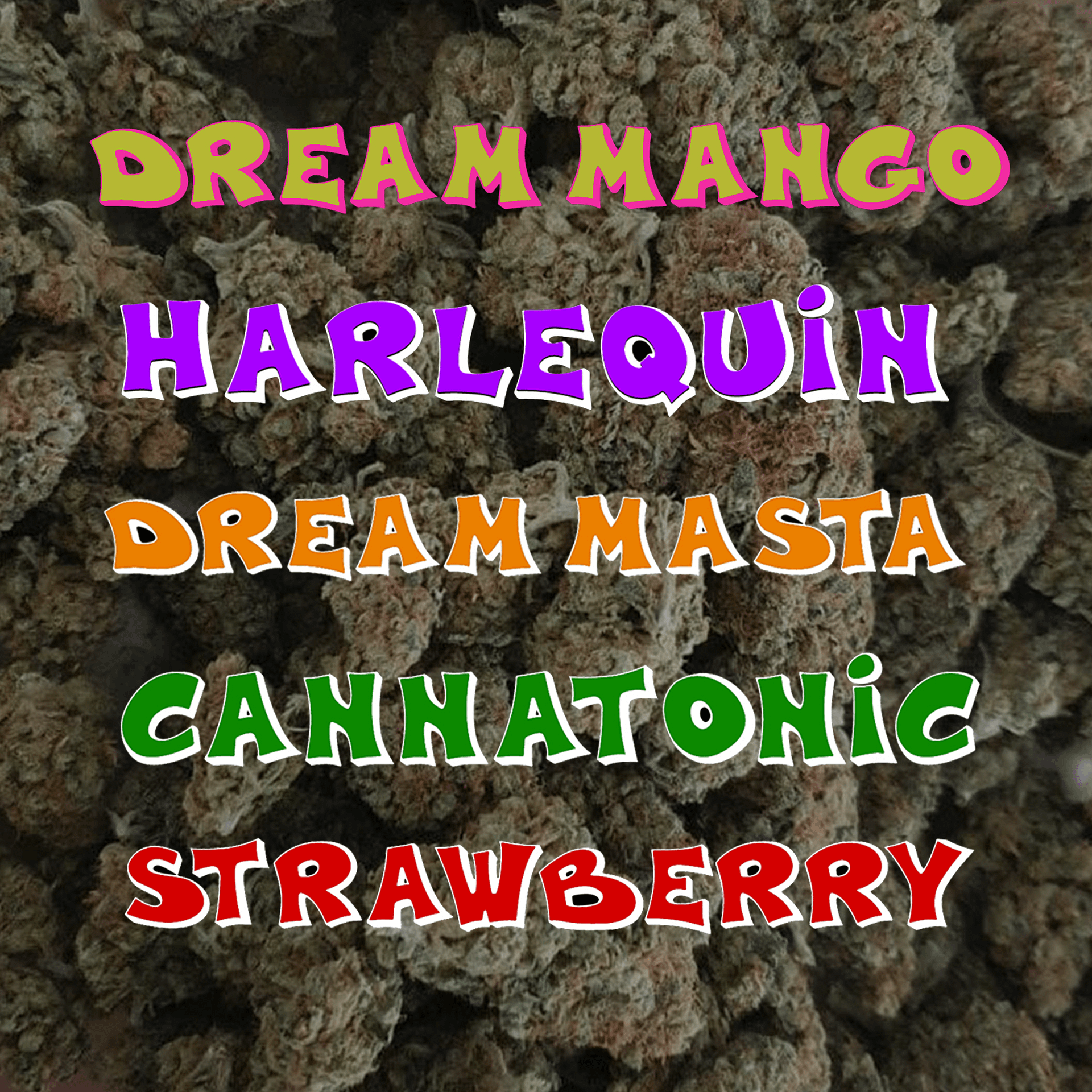 Infiorescenze CBD